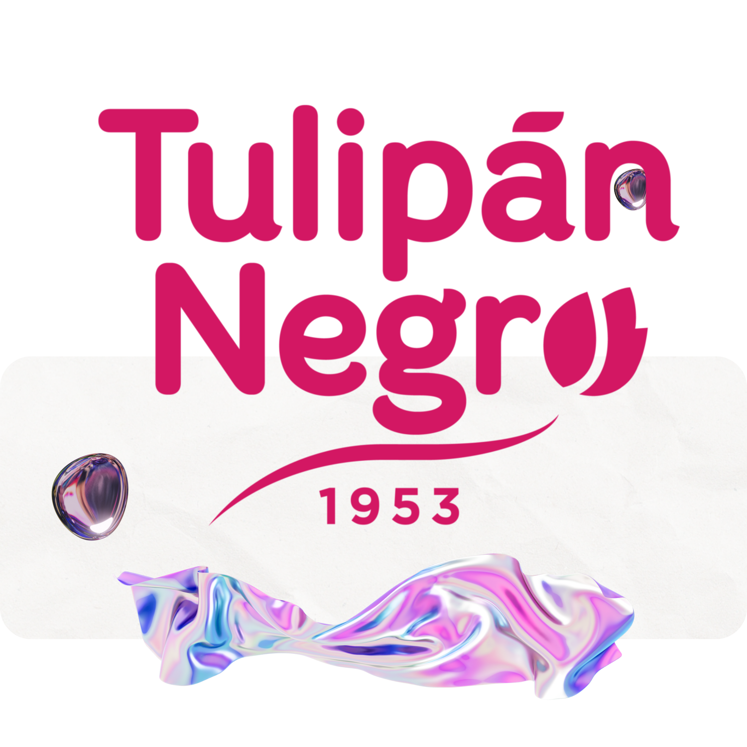 Tulipan Negro
