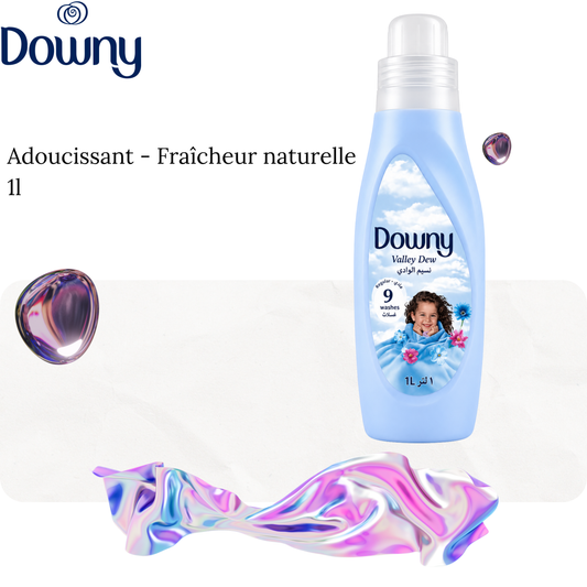 Assouplissant  FLORAL VALLEY 1l - Downy